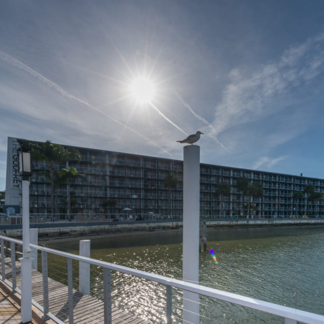 Godfrey Hotel Tampa Exterior