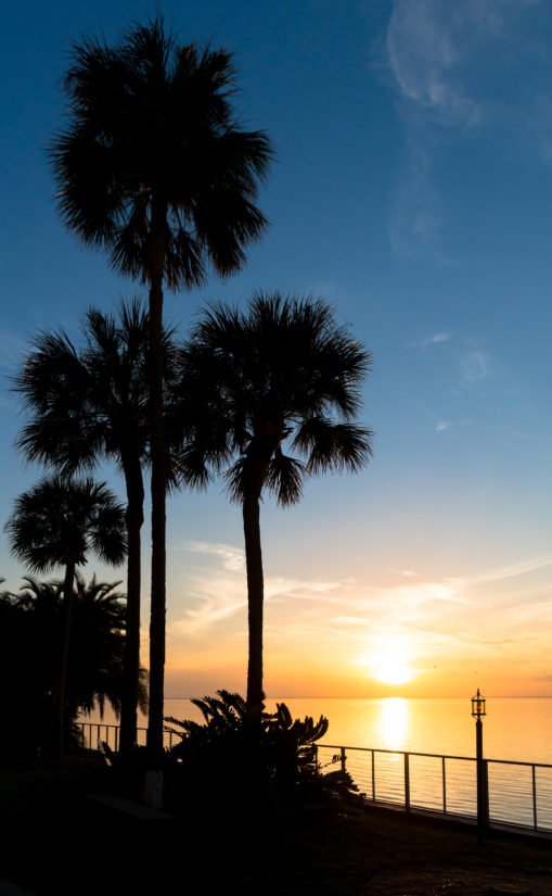 Godfrey Hotel Tampa Sunset