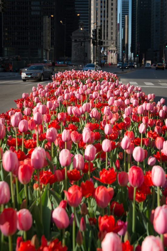 may-spring-2018-29
